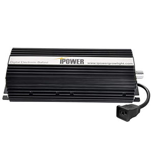 Power Tree Inverter 1000W 12V